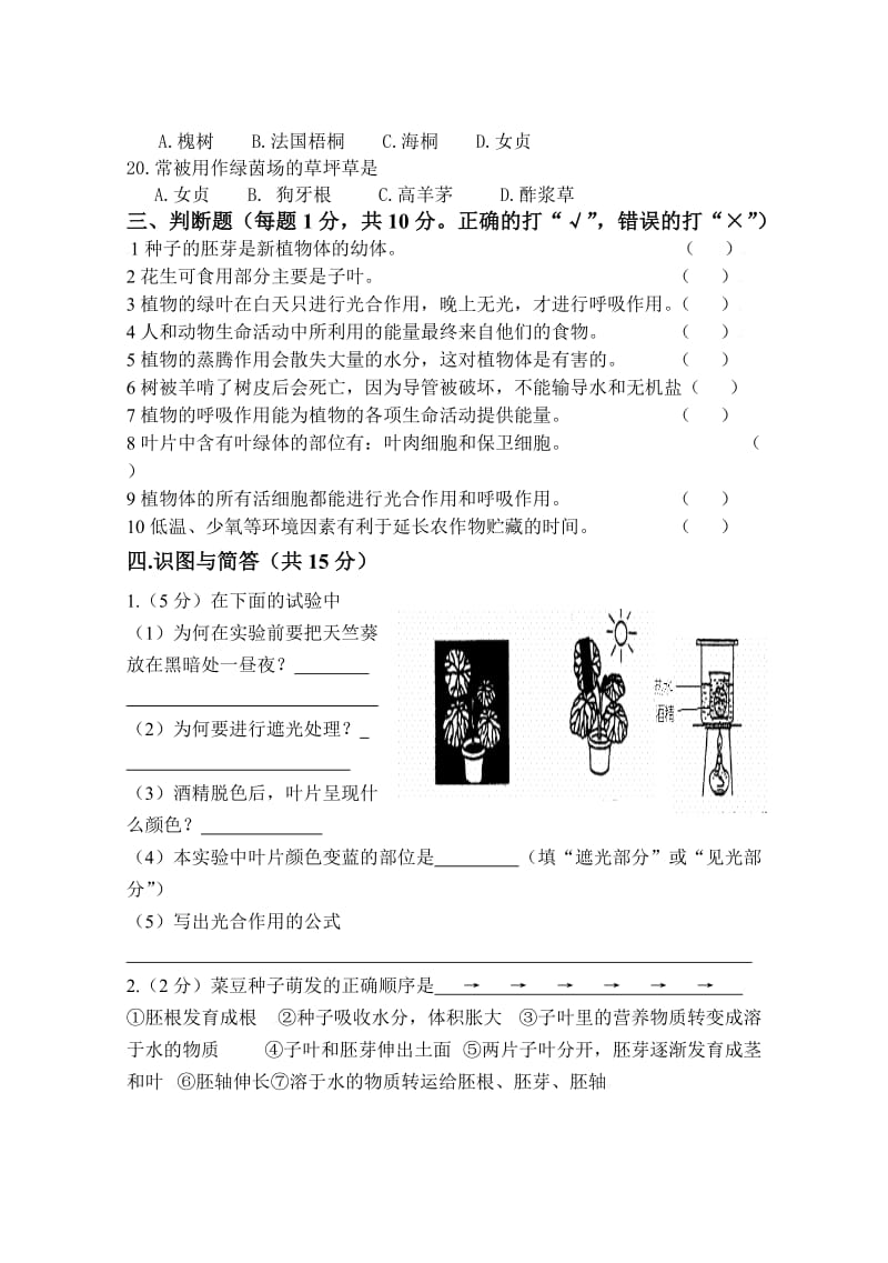 苏教版七年级上期期末考试题.doc_第3页