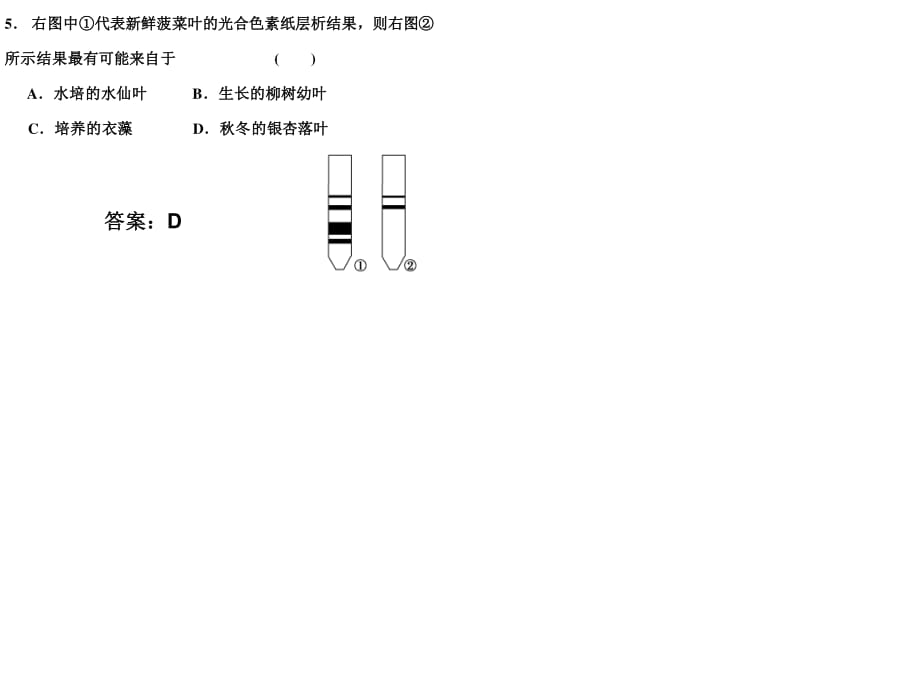 《光合作用練習(xí)》PPT課件.ppt_第1頁