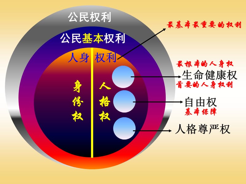 《同樣的權(quán)利同樣的愛(ài)護(hù)》.ppt_第1頁(yè)