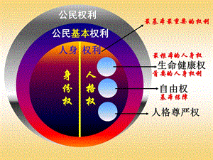 《同樣的權(quán)利同樣的愛(ài)護(hù)》.ppt