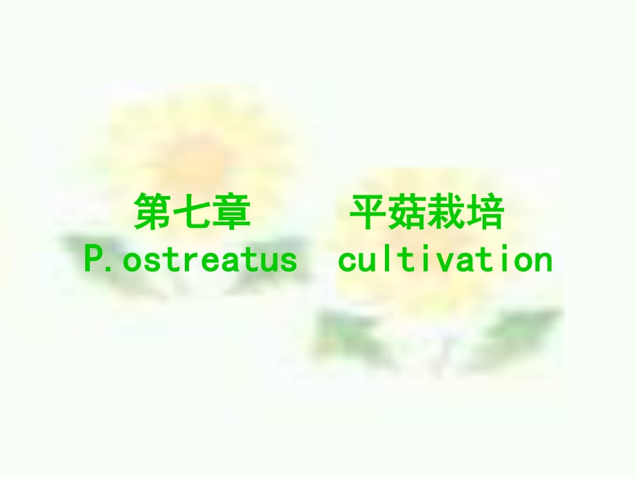 《平菇栽培》PPT課件.ppt_第1頁