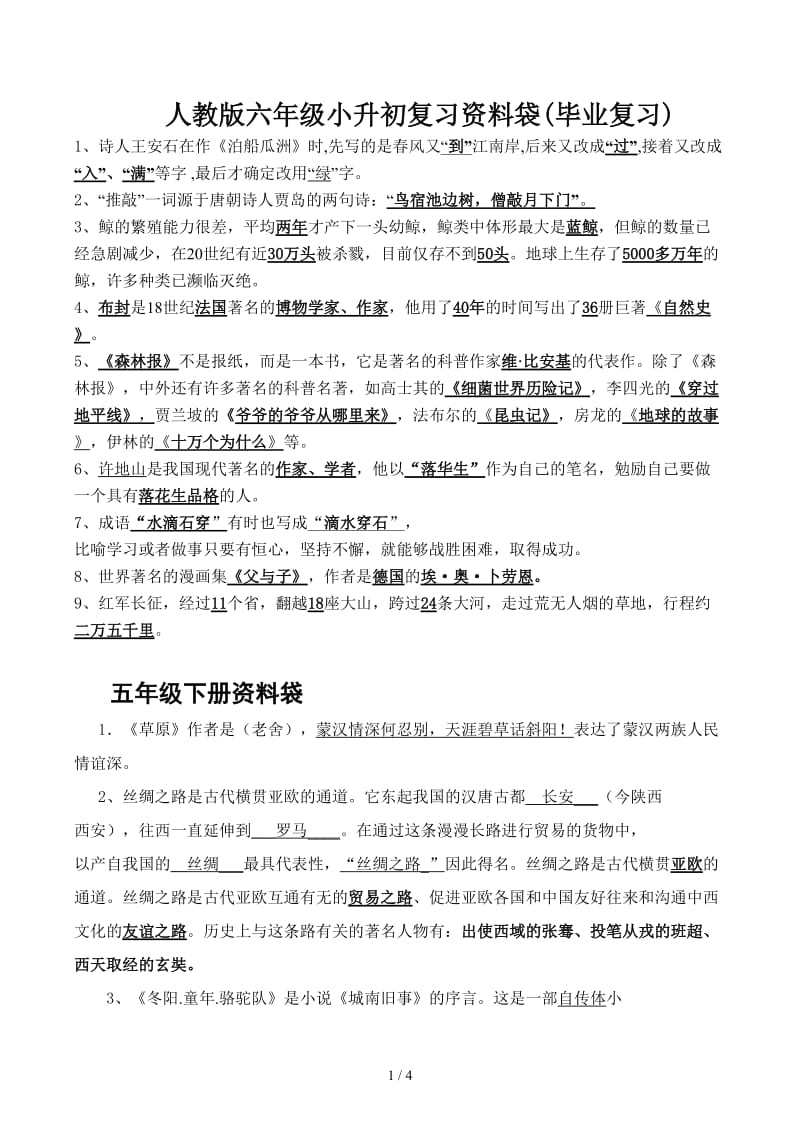 人教版六年级小升初复习资料袋(毕业复习).docx_第1页