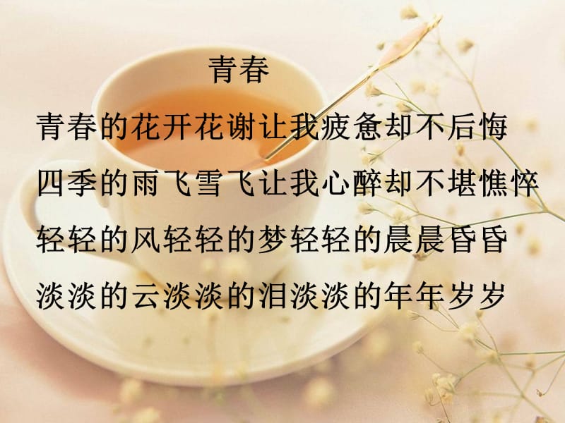 初中音乐 《多彩的花季》课件PPT课件_第3页