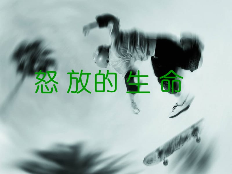 初中音乐 《怒放的生命》课件PPT课件_第2页