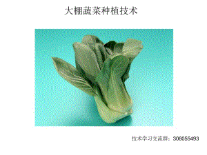 《大棚蔬菜種植技術(shù)》PPT課件.ppt