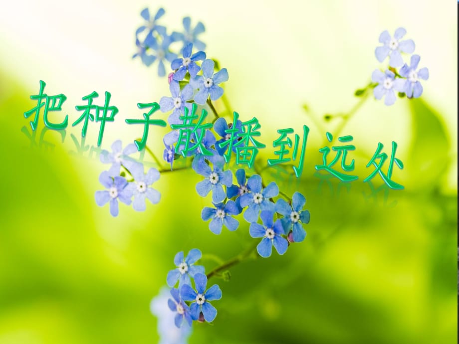 《把種子散播到遠(yuǎn)處》PPT課件.ppt_第1頁