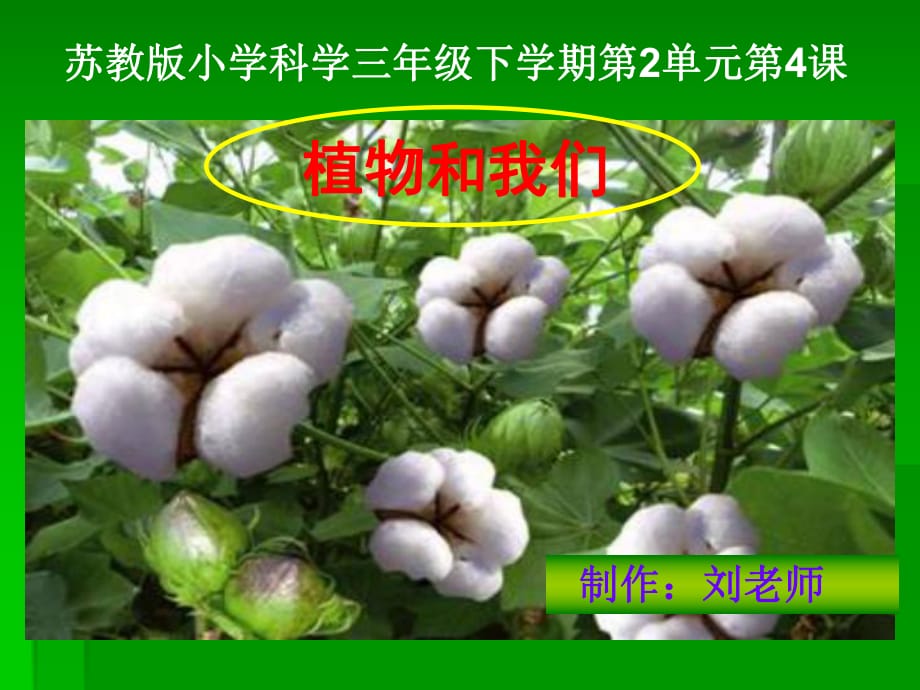 《植物和我們》PPT課件.ppt_第1頁