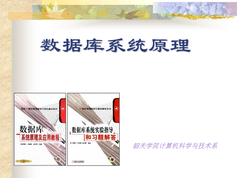 《数据库系统原理》PPT课件.ppt_第1页