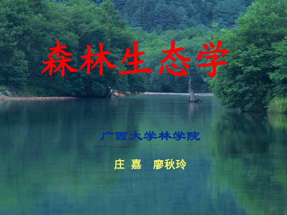 《森林生態(tài)學(xué)》PPT課件.ppt_第1頁