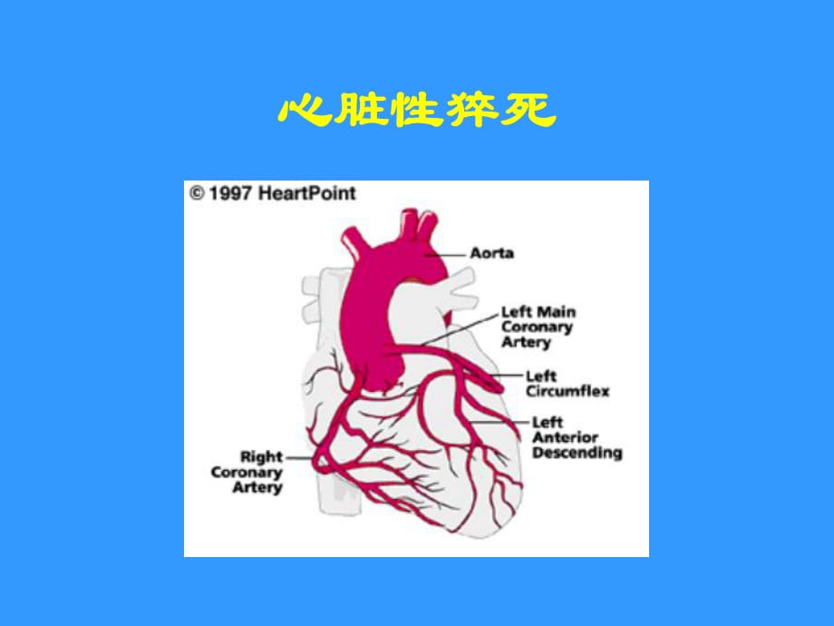 《心臟性猝死與搶救》PPT課件.ppt_第1頁