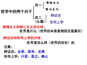 《意識(shí)的本質(zhì)》PPT課件.ppt