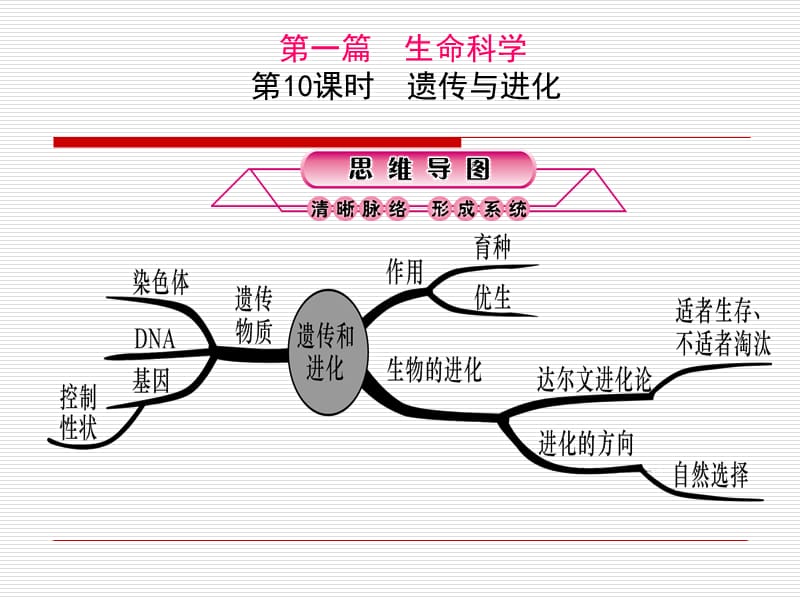 《时遗传与进化》PPT课件.ppt_第1页