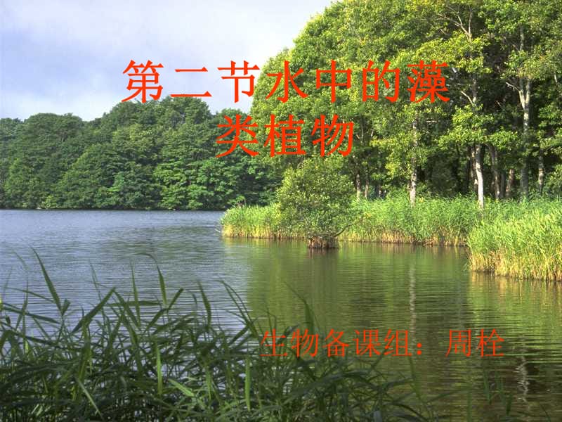 《水中的藻類(lèi)植物》PPT課件.ppt_第1頁(yè)