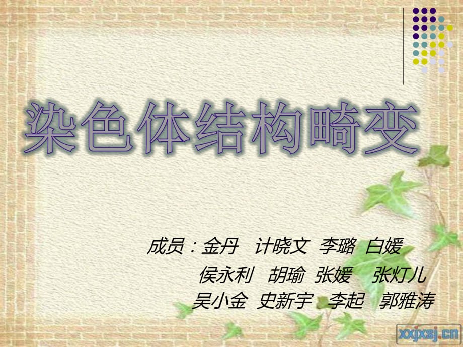 《染色体结构畸变》PPT课件.ppt_第1页