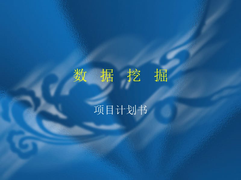 《数据挖掘计划书》PPT课件.ppt_第1页