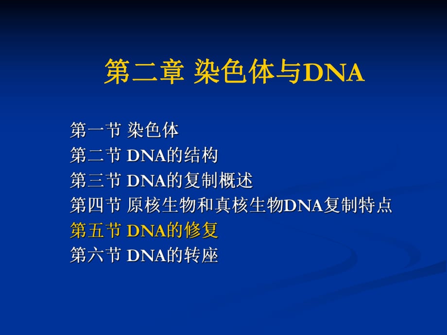 《染色體與DNA》PPT課件.ppt_第1頁(yè)