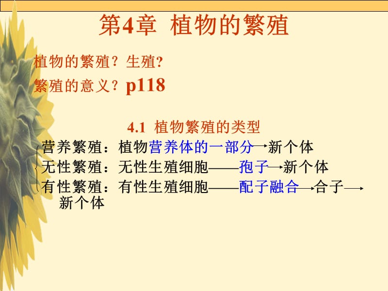 《植物的繁殖》PPT課件.ppt_第1頁