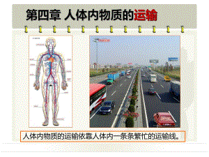 《流動(dòng)的組織―血液》PPT課件.ppt