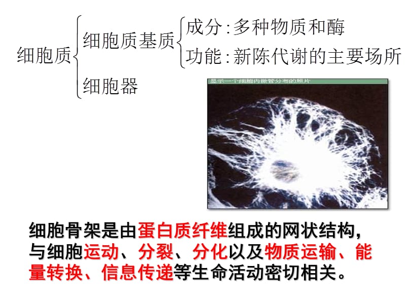 《細(xì)胞器-系統(tǒng)內(nèi)的分工合作》.ppt_第1頁(yè)