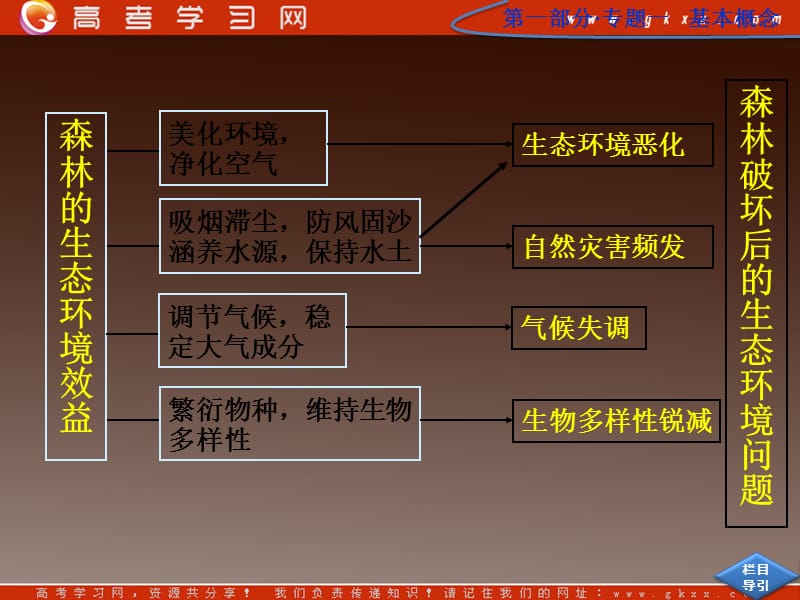 高一地理22《森林的开发和保护》必修3 课件1 人教版_第3页