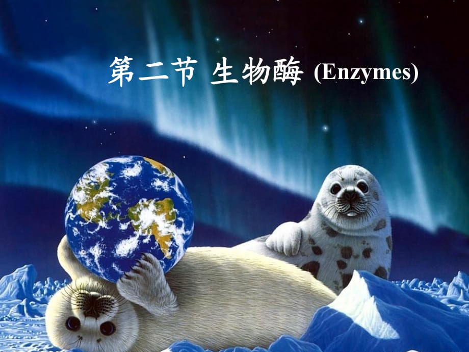 《生物酶与生物膜》PPT课件.ppt_第1页