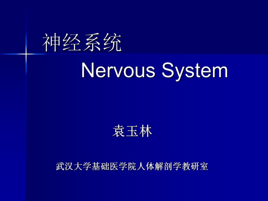 《神经系统药学龚》PPT课件.ppt_第1页