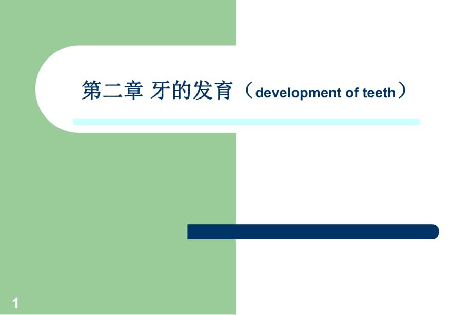 《牙的發(fā)育》PPT課件.ppt_第1頁