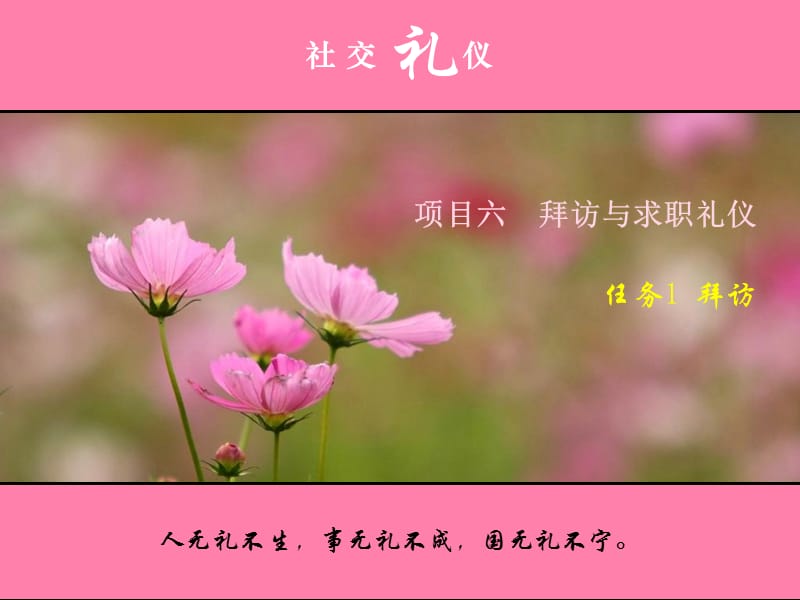 《社交禮儀》課件拜訪.ppt_第1頁(yè)