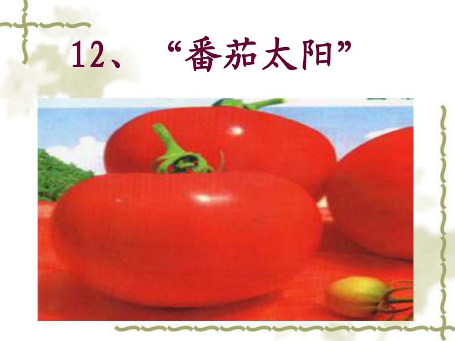 《番茄太阳》》PPT课件.ppt_第1页