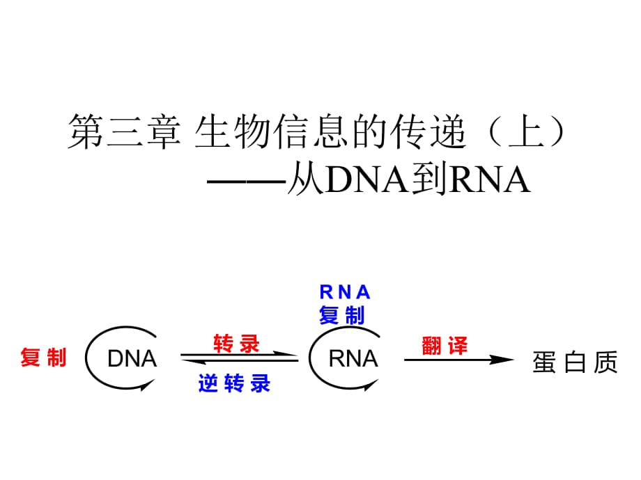 《生物信息的傳遞上》PPT課件.ppt_第1頁(yè)