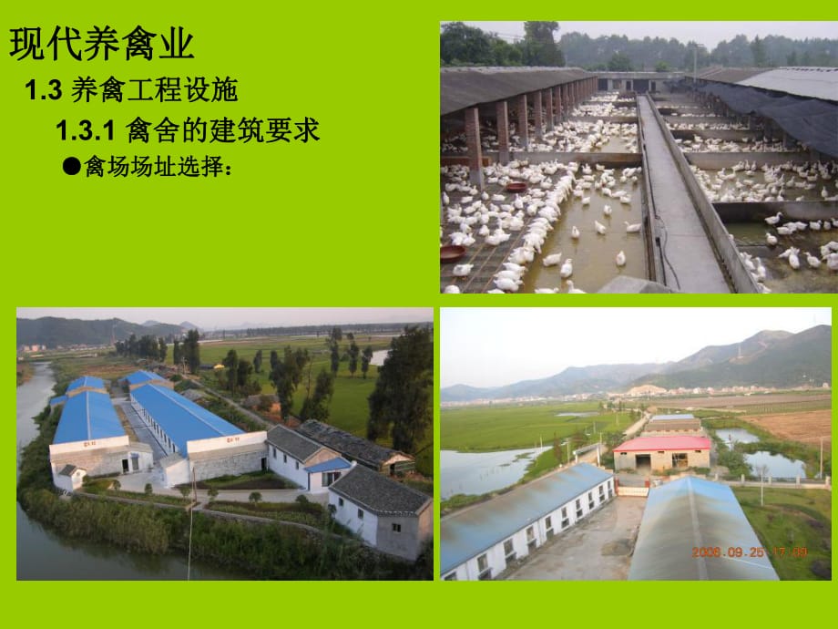 《禽场的建筑详解》PPT课件.ppt_第1页