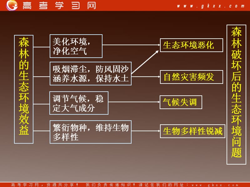 高中地理《森林的开发和保护》课件1（人教版必修3）_第3页