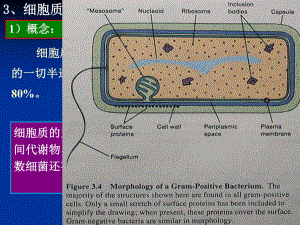 《結構與功能》PPT課件.ppt