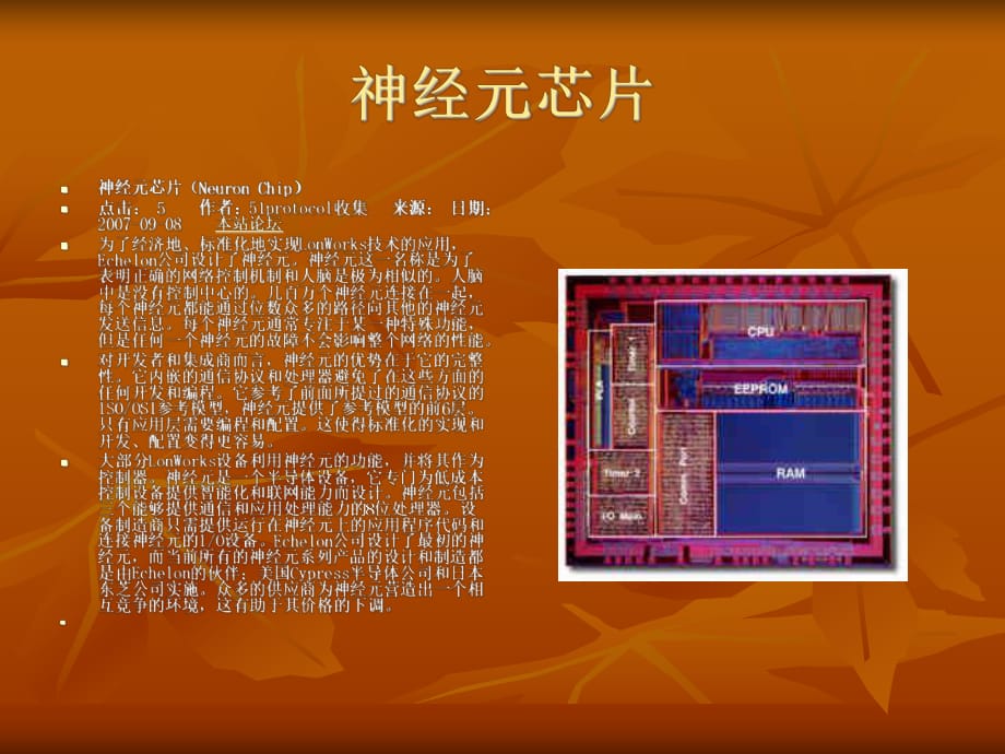 《神经元芯》PPT课件.ppt_第1页