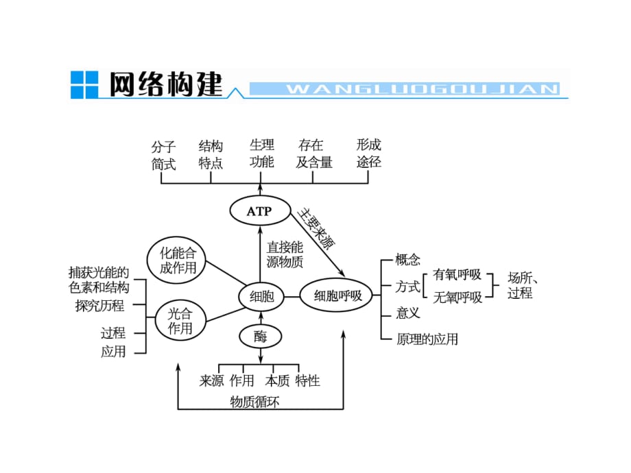 《细胞代谢与酶》PPT课件.ppt_第1页