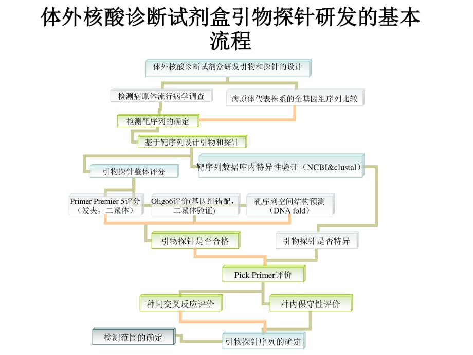 体外核酸诊断试剂盒引物探针研发的基本流程_第1页