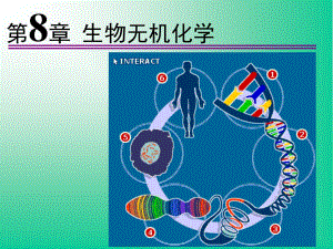 《高等無機化學(xué)》PPT課件