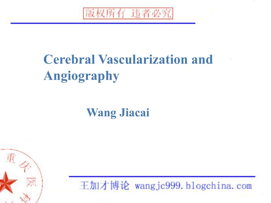 頸內動脈系統(tǒng)_第1頁