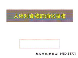 人體構成及食物的消化吸收