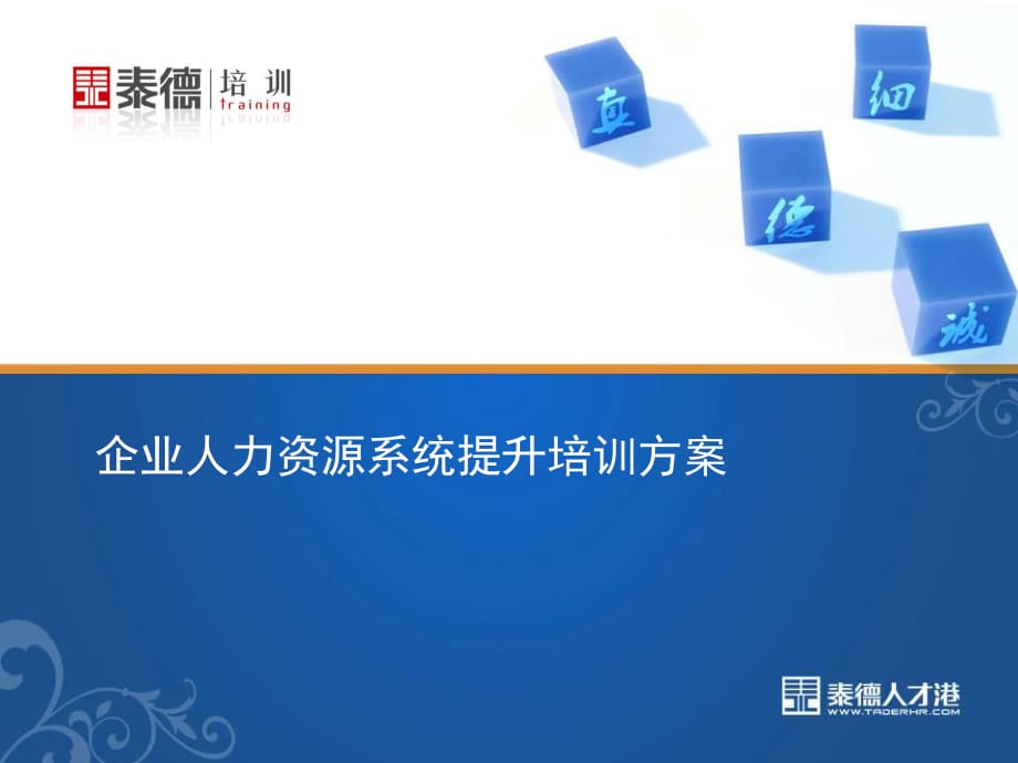 企業(yè)人力資源系統(tǒng)提升培訓(xùn)方案_第1頁