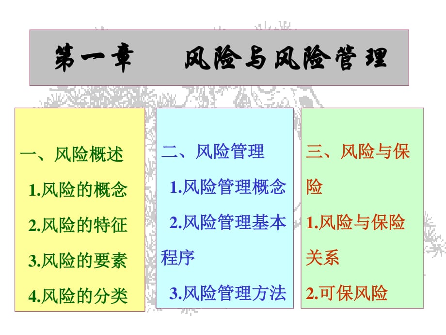 《风险与风险管理》PPT课件_第1页