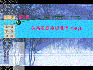專升本輔導(dǎo)第5章SQL語言