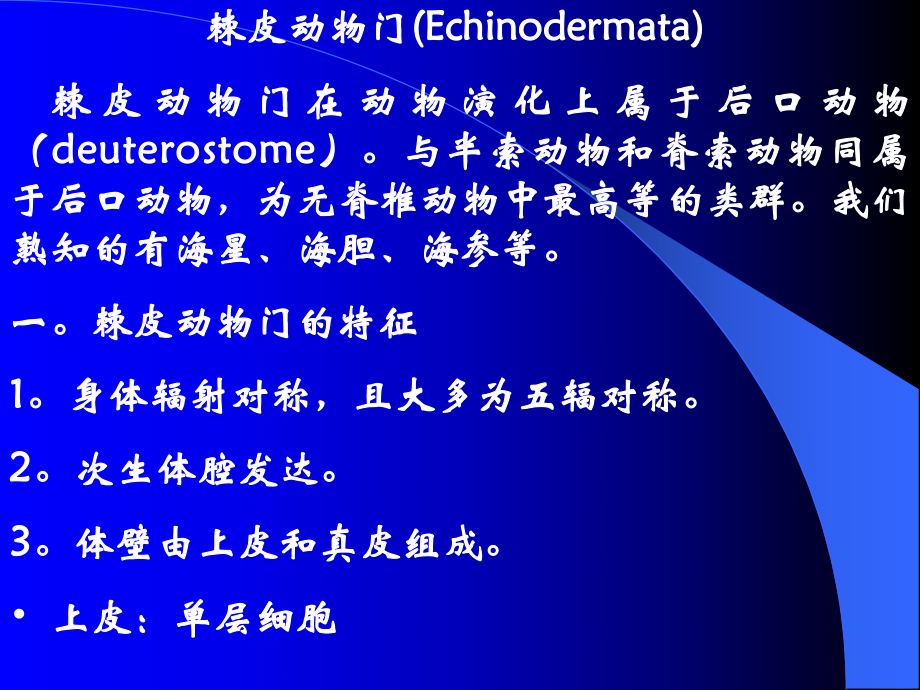 動(dòng)物學(xué)8棘皮動(dòng)物門Echinodermata_第1頁(yè)