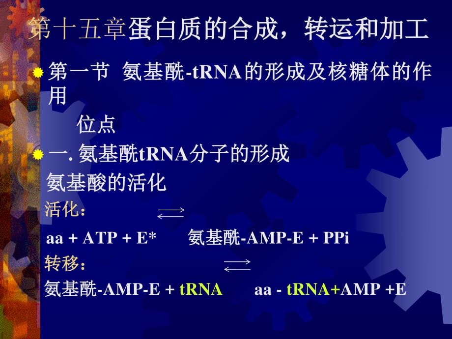 分子遗传学15翻译A_第1页