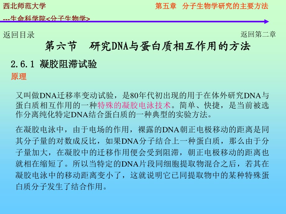 分子生物学的研究方法DNA蛋白质相互作用_第1页