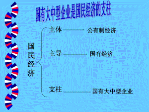 國有大中型企業(yè)王海波