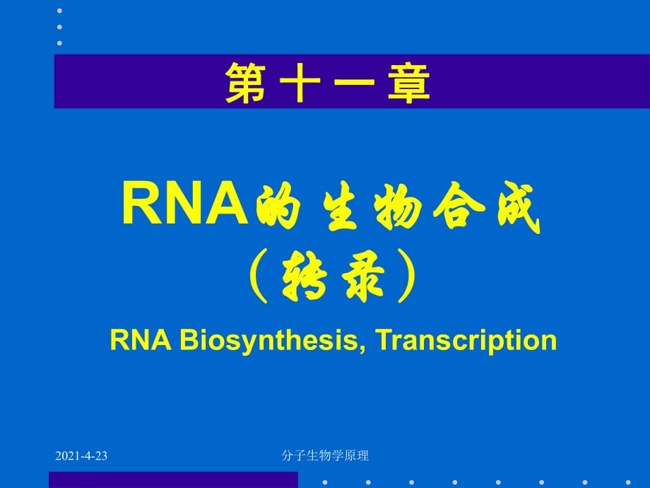 分子生物学原理-RNA的生物合成_第1页