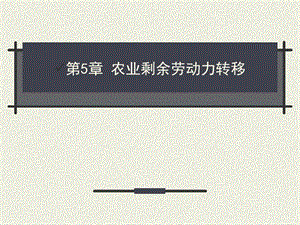 農(nóng)業(yè)經(jīng)濟學(xué)第5章農(nóng)業(yè)剩余勞動力轉(zhuǎn)移