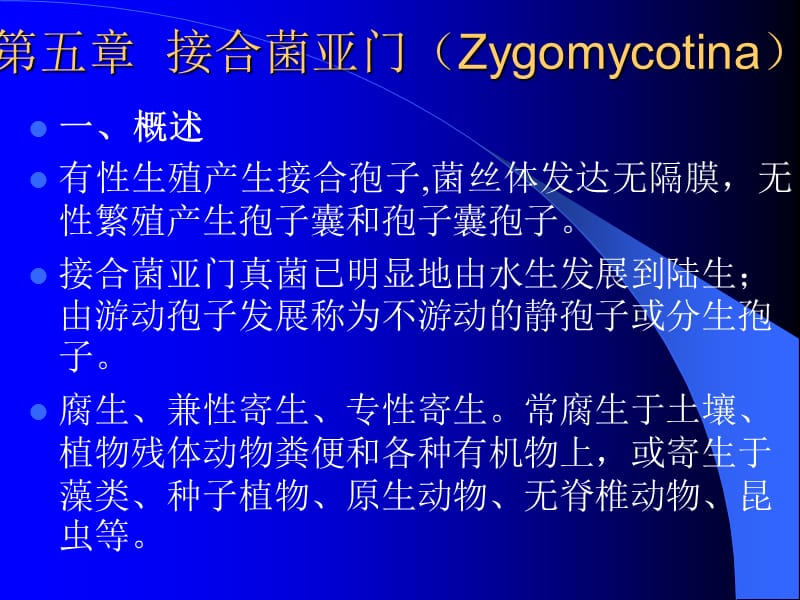 接合菌亚门Zygomycotina_第1页