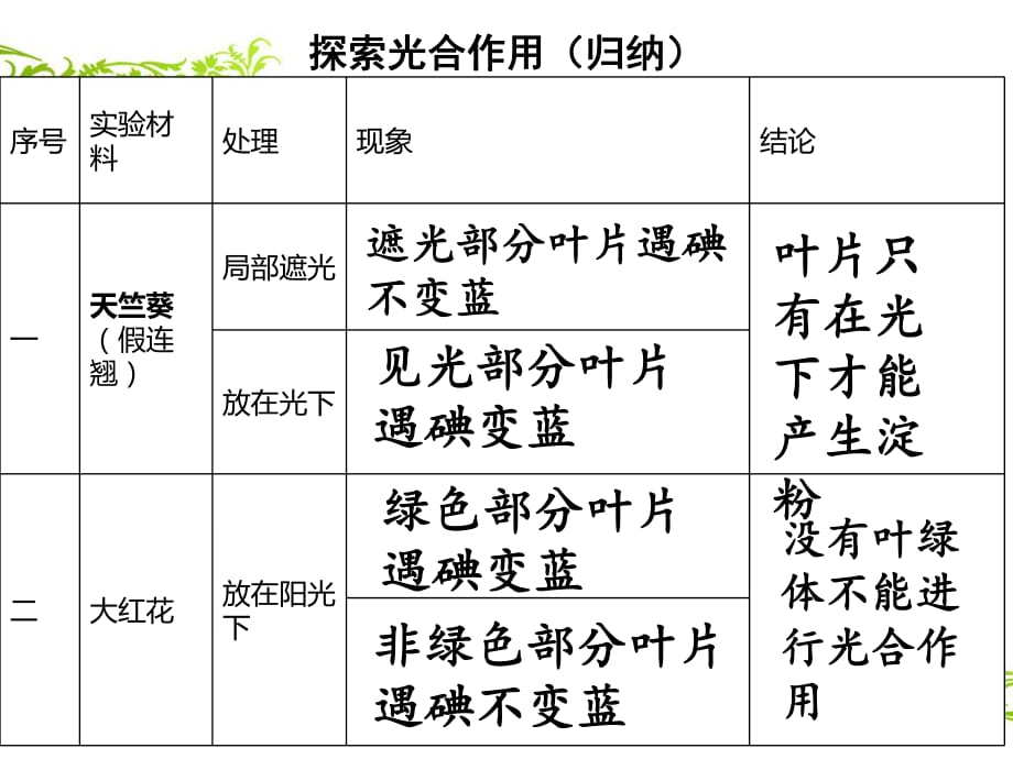 探索光合作用第二課時(shí)_第1頁(yè)